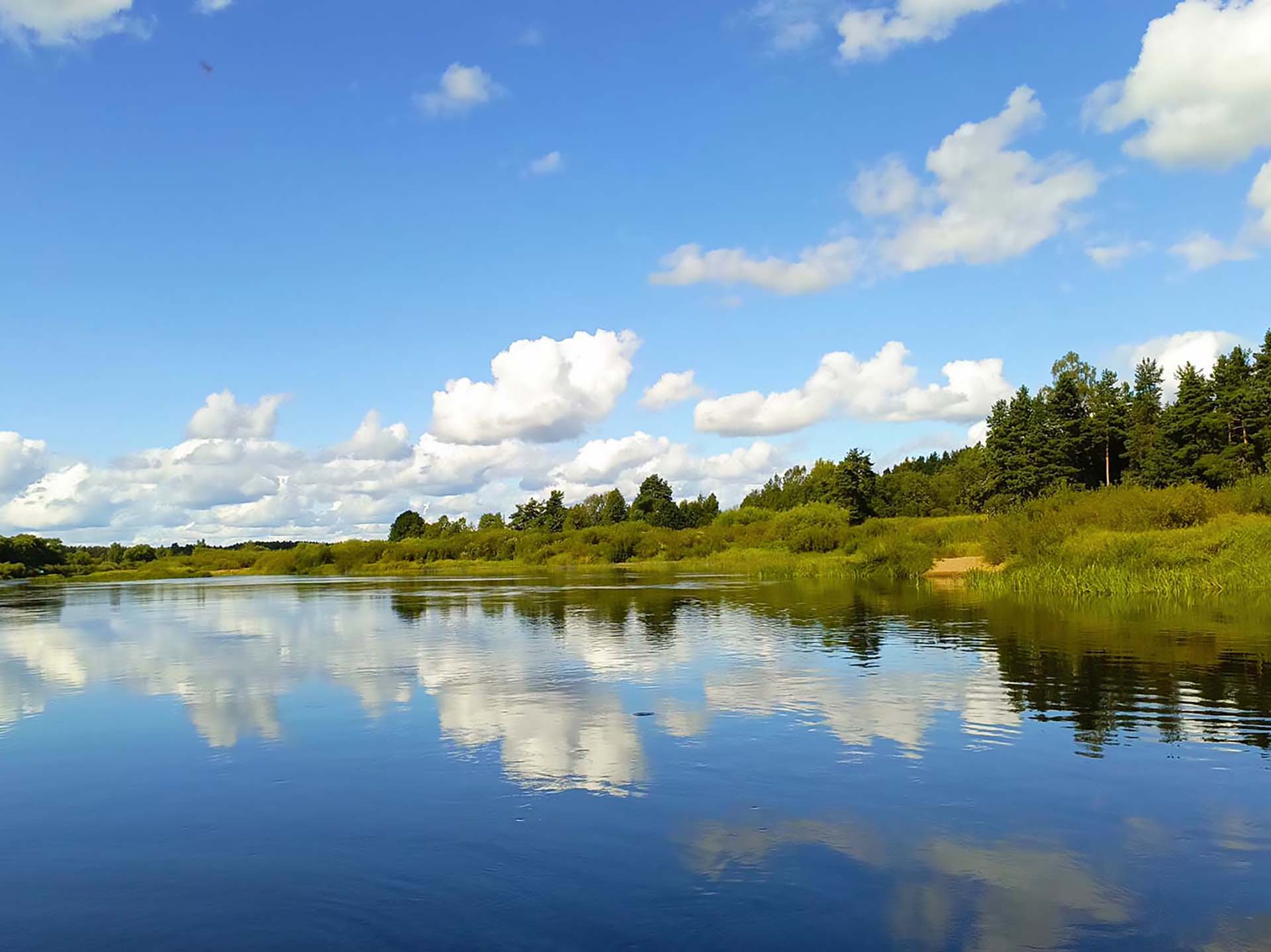 Река Молога, Новгородская область