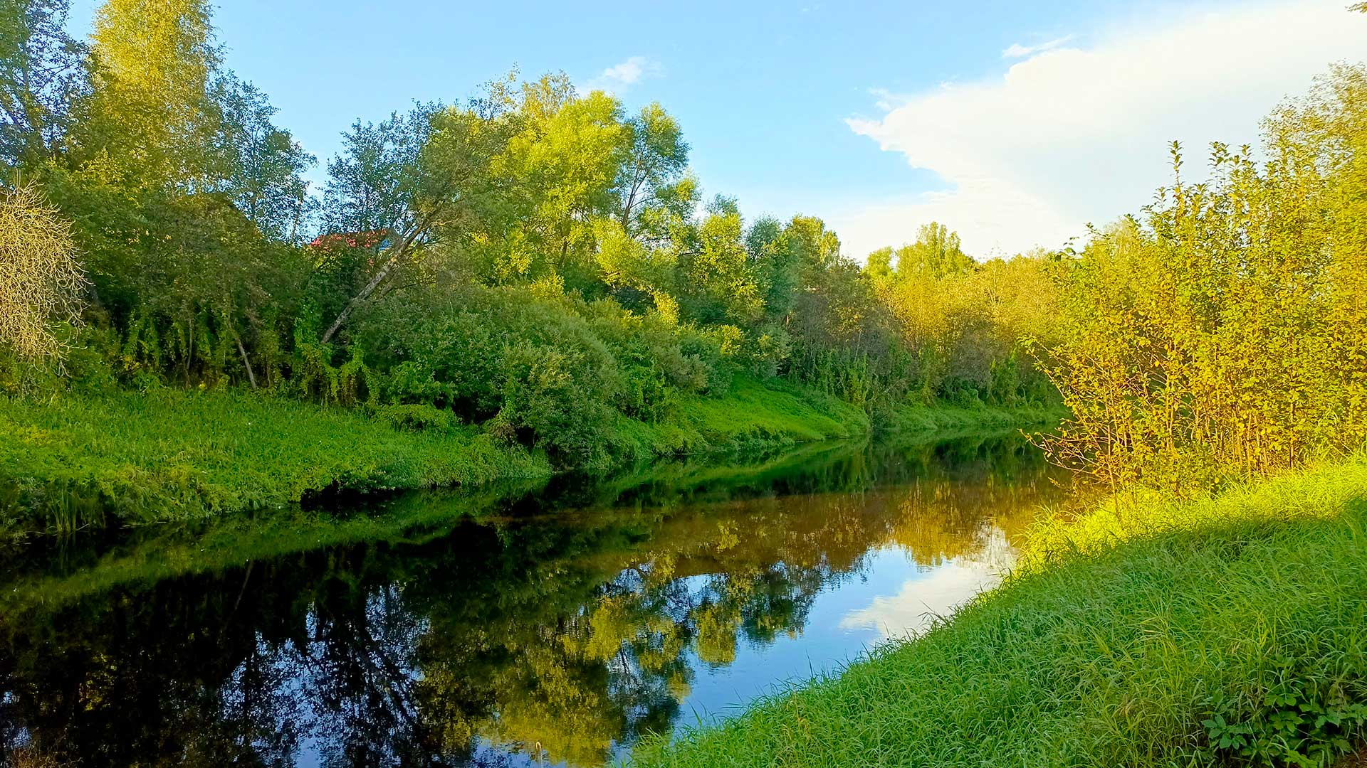 Село Мошенское